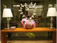 Never Boring Orchids